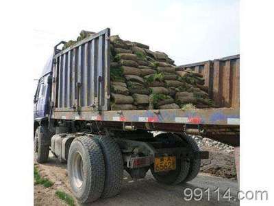 山西草坪 草坪 找產品 保定電子商務門戶網站 保定114網 電子商務 保定企業門戶網站 保定網站建設 企業用網政府指定單位 幫助所有企業做成網上的b2b生意