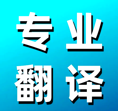 專業(yè)翻譯服務(wù)，輕松解決簽證難題
